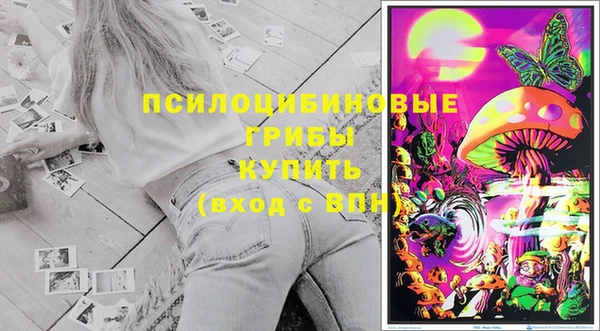 ГАЛЛЮЦИНОГЕННЫЕ ГРИБЫ Алзамай