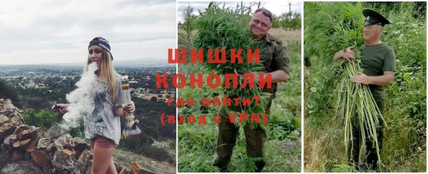 ГАЛЛЮЦИНОГЕННЫЕ ГРИБЫ Алзамай