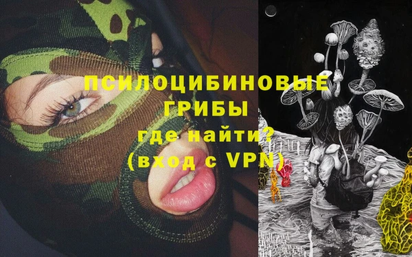 ГАЛЛЮЦИНОГЕННЫЕ ГРИБЫ Алзамай