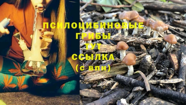 ГАЛЛЮЦИНОГЕННЫЕ ГРИБЫ Алзамай