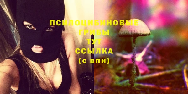 хмурый Алексеевка