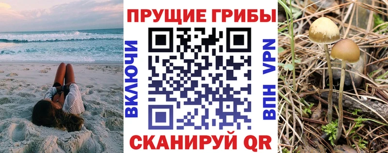 где можно купить наркотик  Алушта  blacksprut ссылки  Галлюциногенные грибы мицелий 